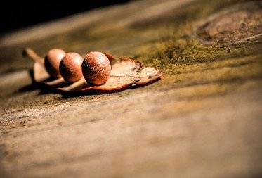 Delicious and Healthy Menus